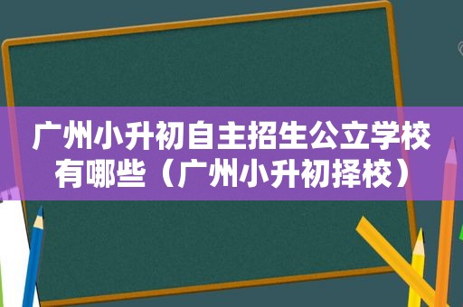 广州小升初自主招生公立学校有哪些（广州小升初择校）