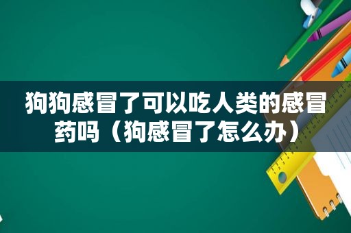 狗狗感冒了可以吃人类的感冒药吗（狗感冒了怎么办）