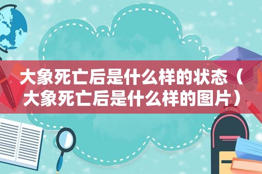 大象死亡后是什么样的状态（大象死亡后是什么样的图片）