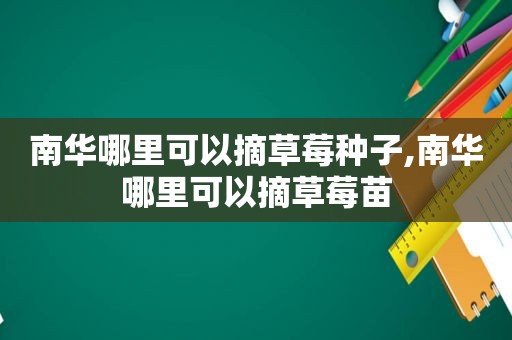 南华哪里可以摘草莓种子,南华哪里可以摘草莓苗