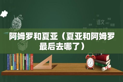 阿姆罗和夏亚（夏亚和阿姆罗最后去哪了）