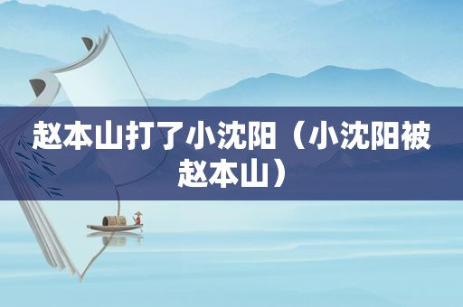 赵本山打了小沈阳（小沈阳被赵本山）