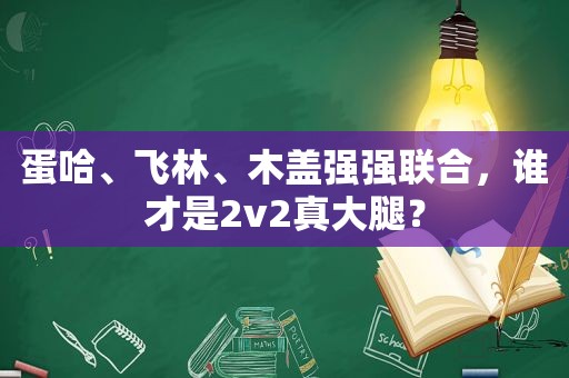 蛋哈、飞林、木盖强强联合，谁才是2v2真大腿？