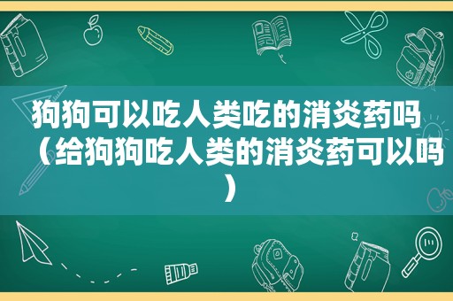 狗狗可以吃人类吃的消炎药吗（给狗狗吃人类的消炎药可以吗）