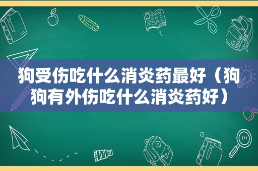 狗受伤吃什么消炎药最好（狗狗有外伤吃什么消炎药好）