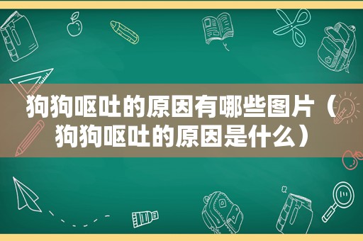 狗狗呕吐的原因有哪些图片（狗狗呕吐的原因是什么）