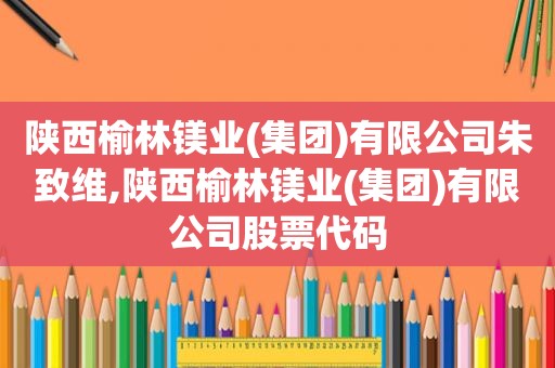 陕西榆林镁业(集团)有限公司朱致维,陕西榆林镁业(集团)有限公司股票代码