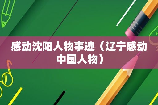 感动沈阳人物事迹（辽宁感动中国人物）