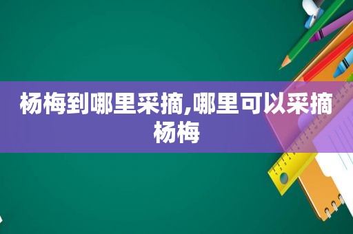 杨梅到哪里采摘,哪里可以采摘杨梅