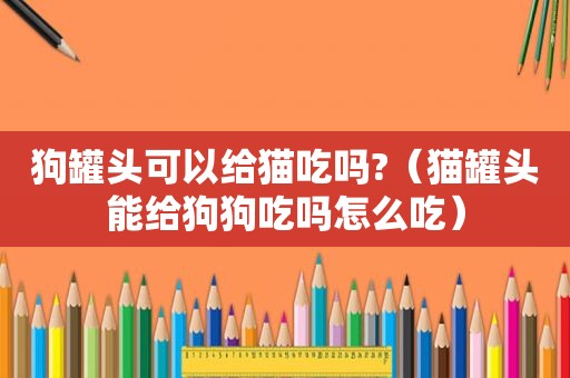 狗罐头可以给猫吃吗?（猫罐头能给狗狗吃吗怎么吃）