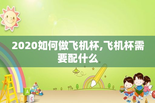 2020如何做飞机杯,飞机杯需要配什么