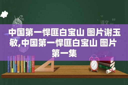 中国第一悍匪白宝山 图片谢玉敏,中国第一悍匪白宝山 图片 第一集