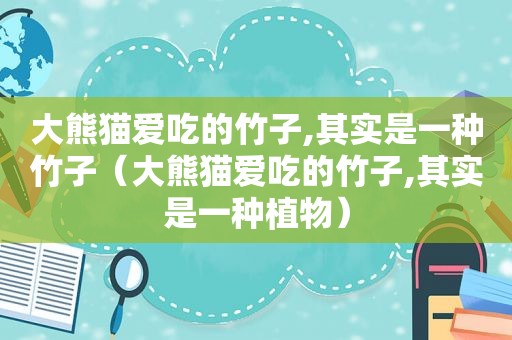 大熊猫爱吃的竹子,其实是一种竹子（大熊猫爱吃的竹子,其实是一种植物）