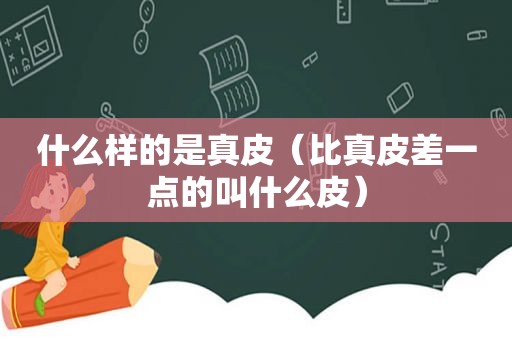 什么样的是真皮（比真皮差一点的叫什么皮）