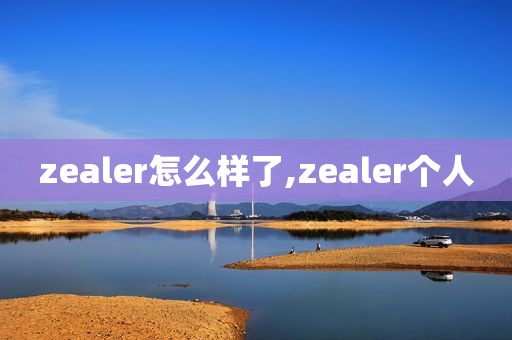 zealer怎么样了,zealer个人