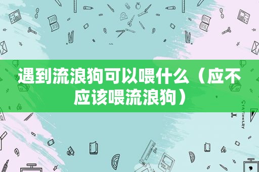 遇到流浪狗可以喂什么（应不应该喂流浪狗）