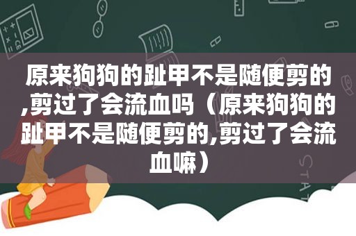 原来狗狗的趾甲不是随便剪的,剪过了会流血吗（原来狗狗的趾甲不是随便剪的,剪过了会流血嘛）