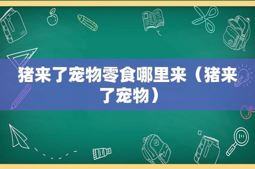 猪来了宠物零食哪里来（猪来了宠物）