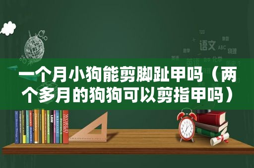 一个月小狗能剪脚趾甲吗（两个多月的狗狗可以剪指甲吗）