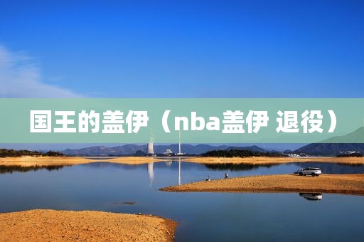 国王的盖伊（nba盖伊 退役）