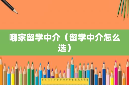 哪家留学中介（留学中介怎么选）