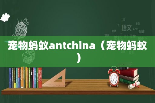 宠物蚂蚁antchina（宠物蚂蚁）