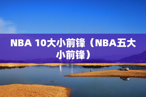 NBA 10大小前锋（NBA五大小前锋）