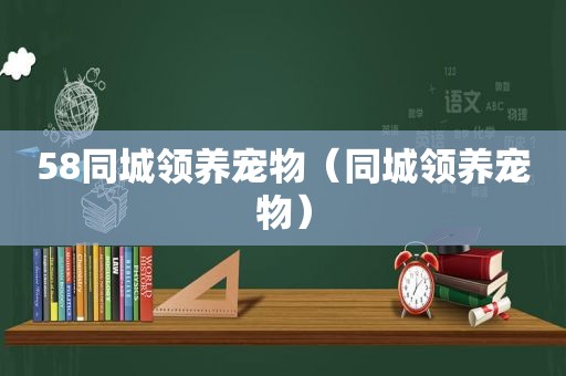 58同城领养宠物（同城领养宠物）