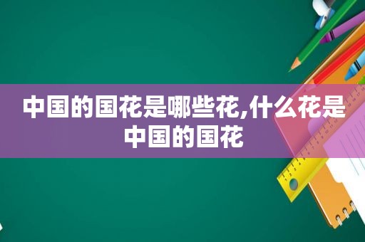 中国的国花是哪些花,什么花是中国的国花