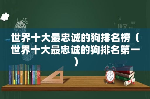 世界十大最忠诚的狗排名榜（世界十大最忠诚的狗排名第一）