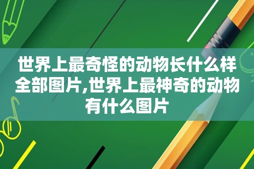 世界上最奇怪的动物长什么样全部图片,世界上最神奇的动物有什么图片