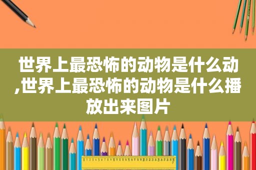 世界上最恐怖的动物是什么动,世界上最恐怖的动物是什么播放出来图片