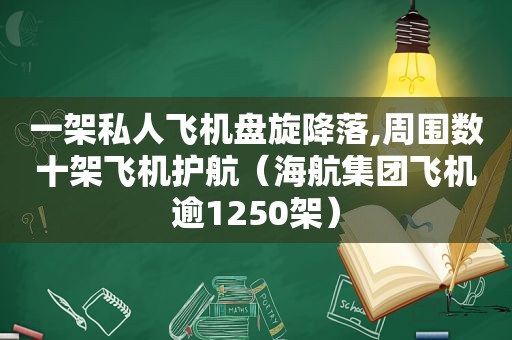 一架私人飞机盘旋降落,周围数十架飞机护航（海航集团飞机逾1250架）