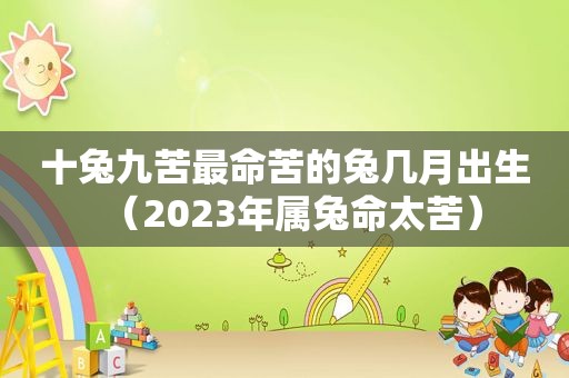 十兔九苦最命苦的兔几月出生（2023年属兔命太苦）