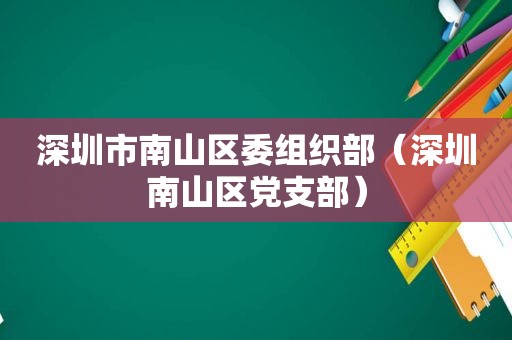 深圳市南山区委组织部（深圳南山区党支部）