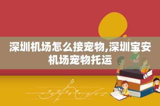 深圳机场怎么接宠物,深圳宝安机场宠物托运