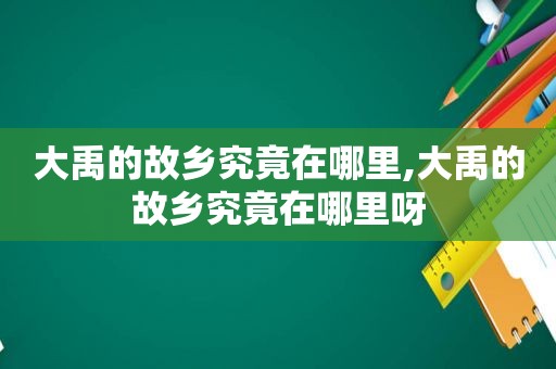 大禹的故乡究竟在哪里,大禹的故乡究竟在哪里呀