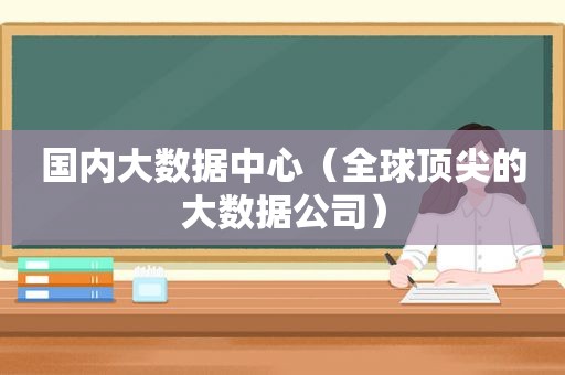 国内大数据中心（全球顶尖的大数据公司）