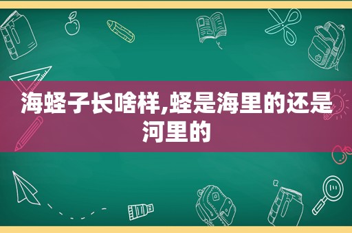 海蛏子长啥样,蛏是海里的还是河里的