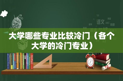 大学哪些专业比较冷门（各个大学的冷门专业）