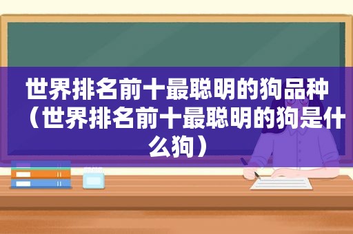 世界排名前十最聪明的狗品种（世界排名前十最聪明的狗是什么狗）