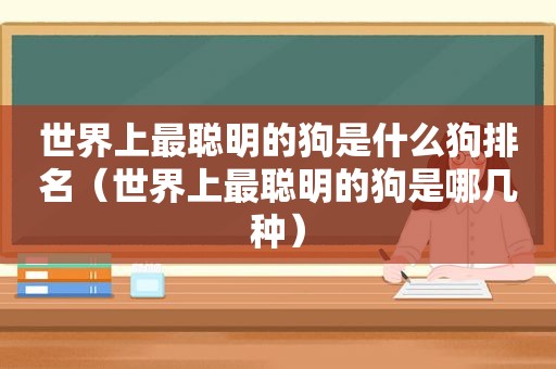 世界上最聪明的狗是什么狗排名（世界上最聪明的狗是哪几种）