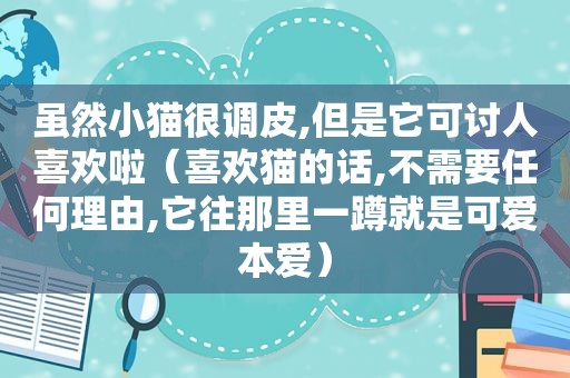 虽然小猫很调皮,但是它可讨人喜欢啦（喜欢猫的话,不需要任何理由,它往那里一蹲就是可爱本爱）