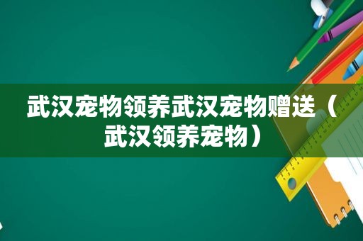 武汉宠物领养武汉宠物赠送（武汉领养宠物）