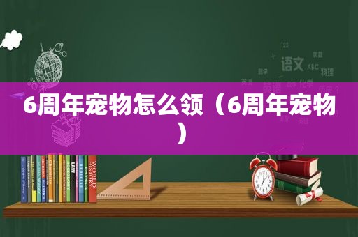 6周年宠物怎么领（6周年宠物）