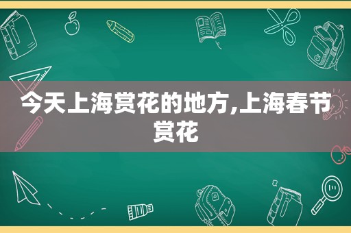 今天上海赏花的地方,上海春节赏花