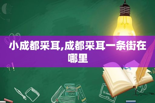 小成都采耳,成都采耳一条街在哪里