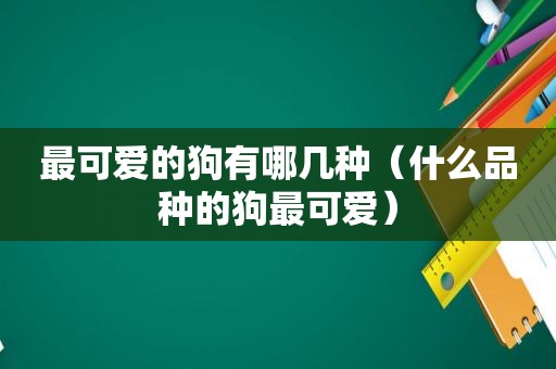 最可爱的狗有哪几种（什么品种的狗最可爱）