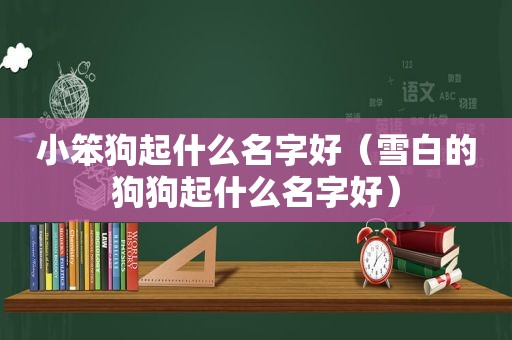 小笨狗起什么名字好（雪白的狗狗起什么名字好）