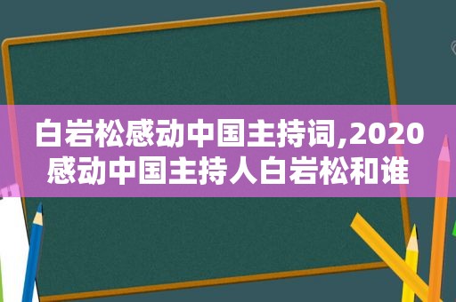 白岩松感动中国主持词,2020感动中国主持人白岩松和谁